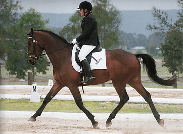 Kira Maguire on Belcam Concerto Kira Maguire on Belcam Concerto